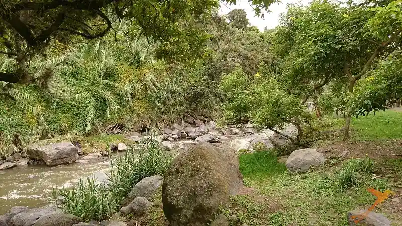 Algarrobos Parc Cumbaya river