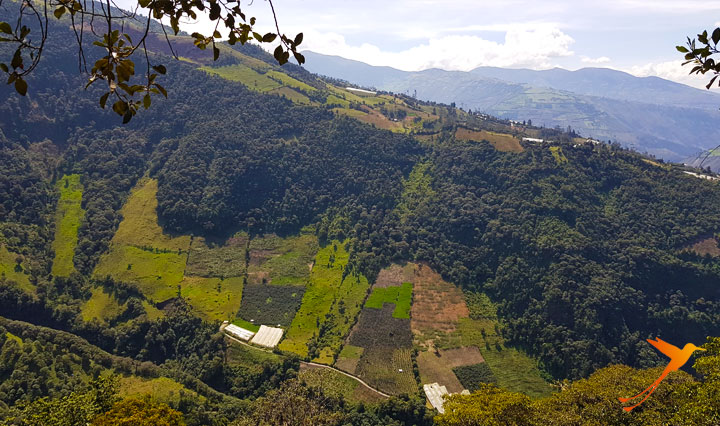 View from La Casa del Arbol near Baños