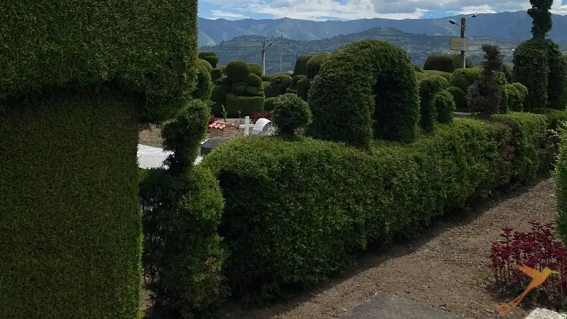 cemetery of Atahualpa with decoratively cutted bushes