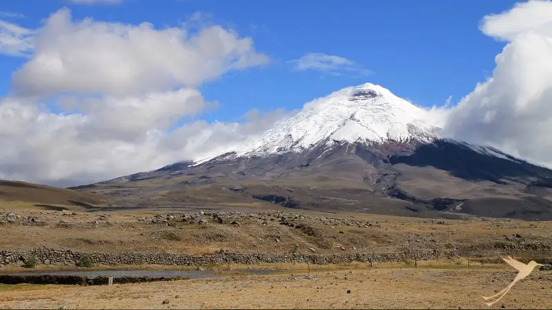 Cotopaxi volcano in the national park