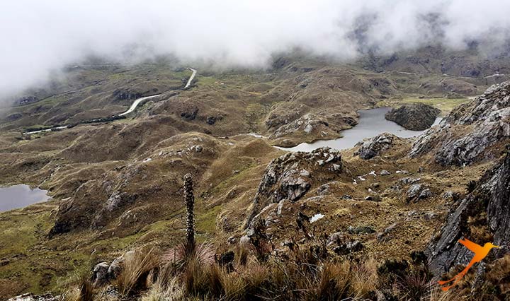 Cuenca - What to do. Visit Cajas National Park