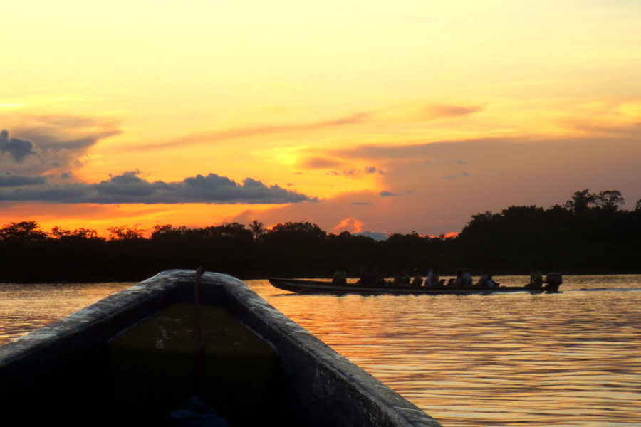 Cuyabeno Rainforest Tour - Ecuador Tours by SOLEQ.travel