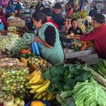 In Ecuador you can find numerous exotic fruits.