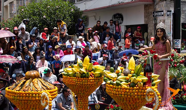 Fruits on the carnival parade in mbato