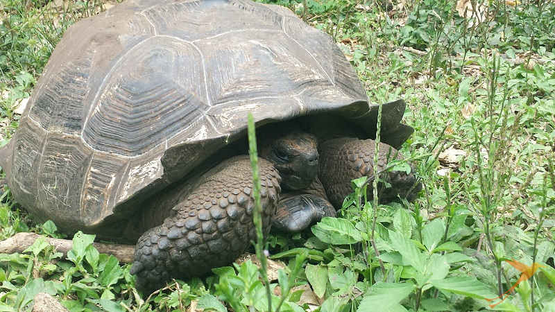 Galapagos Experiences - 6 days in the archipelago (part one)