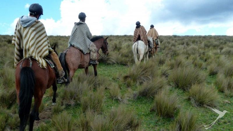 Horseback riding Andes Ecuador