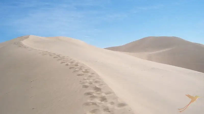 desert in Peru near the oasis Huacachina