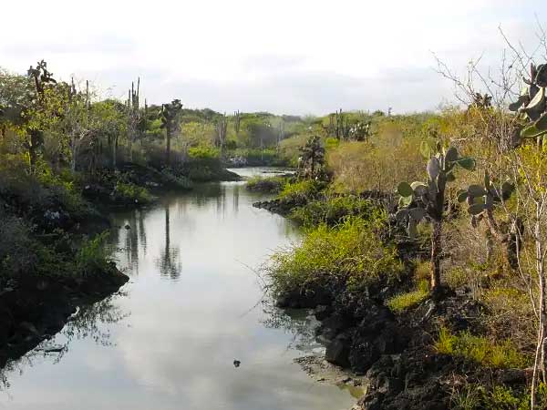 Santa Cruz Island - Galapagos - Ecuador Tours