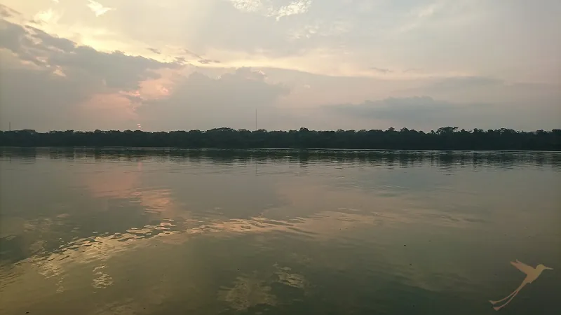 Limoncocha Lagoon during sunset
