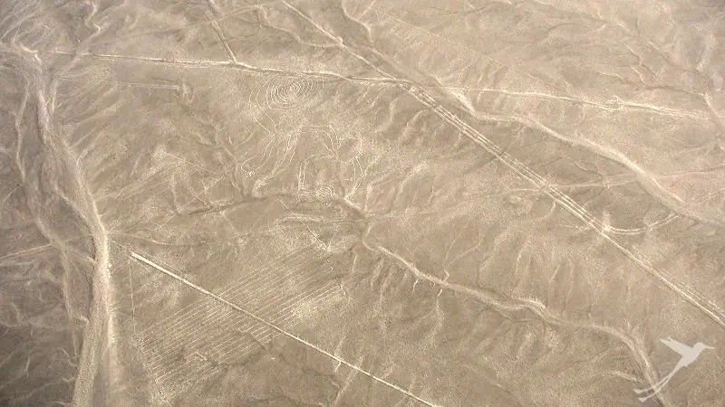 Nazca figures from the plane