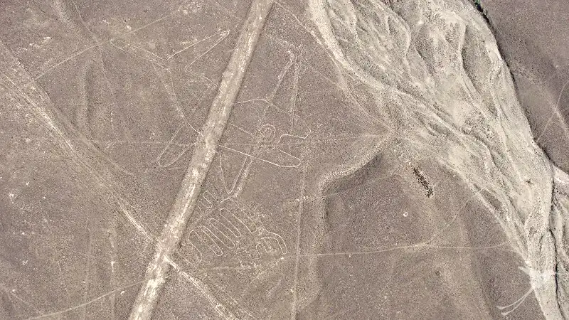 different figures of the Nazca lines