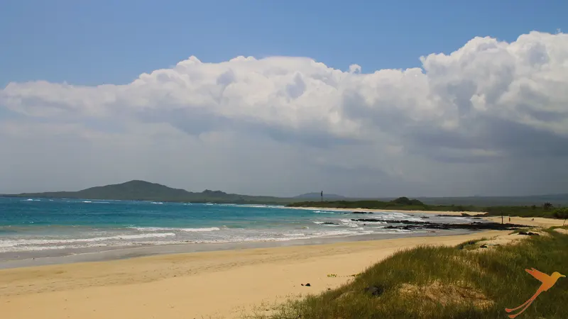 one of the beaches on the Island of Isabela