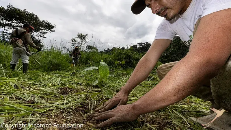 planting a tree at the Buenaventura reserve