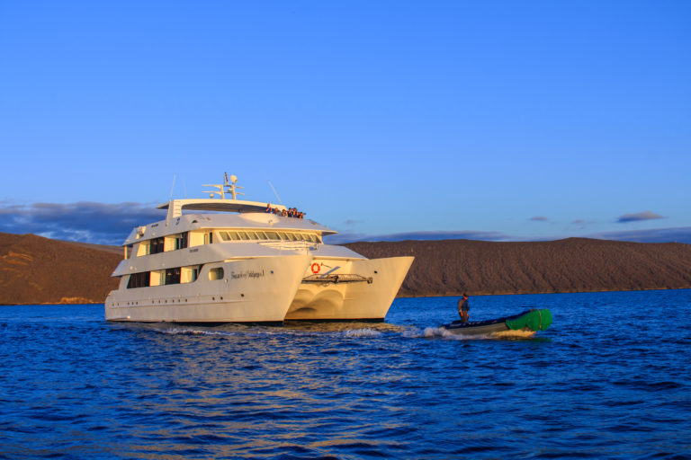 Discover best deals for Galapagos cruises on this page.