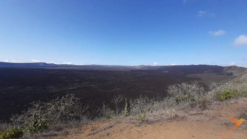 typical landscape around Sierra Negra volcano