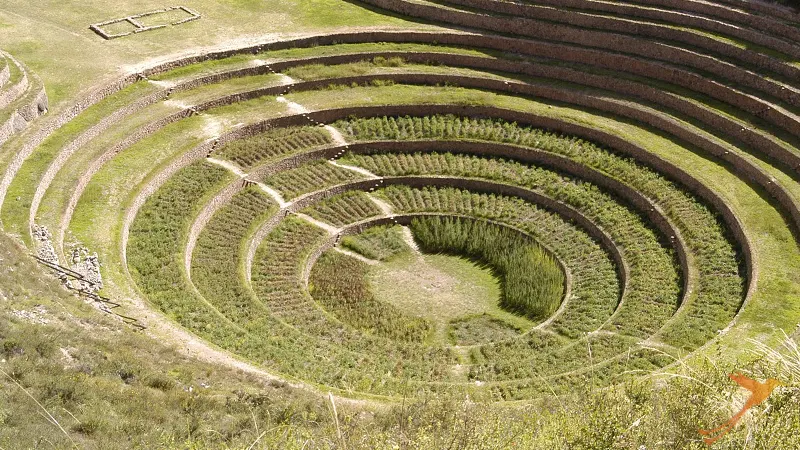 Archeological circles of the inca culture