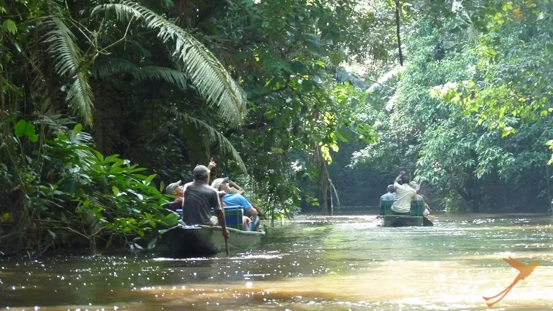 people on a boat excursion in the Yasuni National Park