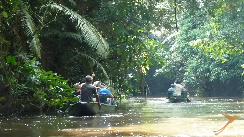 boat ride in the Yasuni national Park