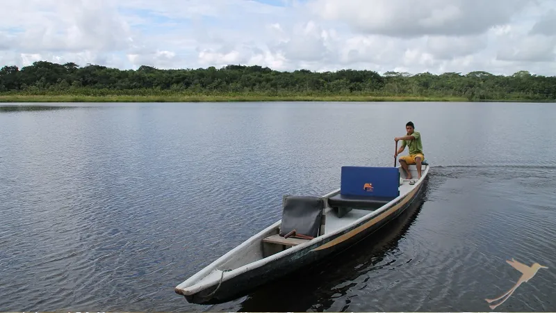 boat on a river in the Yasuni National Park