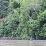 canoe ride in the Yasuni national park on Napo River