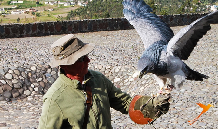 condor park Otavalo