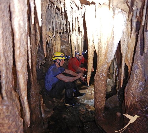 Explore the Cueva de los Tayos
