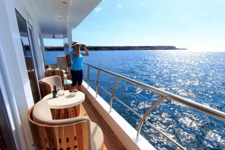 balcony to observe the ocean on catamaran Elite