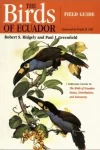 pájaros-de-ecuador-203×300 libro aves de Ecuador
