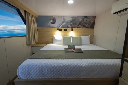 cabina doble del yate Bonita