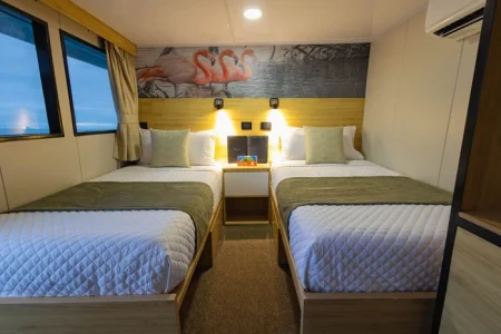 Cabina twin del yate Bonita