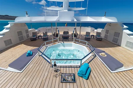 Piscina Galápagos Horizon en la cubierta solar
