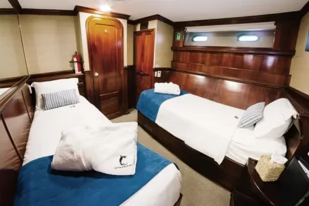 deluxe twin cabin of dive Yacht Galapagos Sky