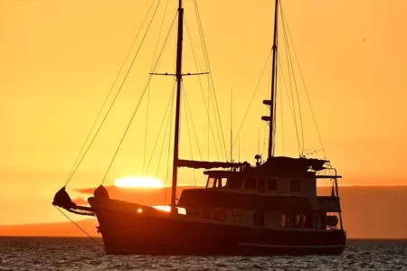 Sailer Samba in the sunset