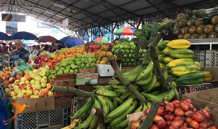Fruits Riobamba San Alfonso Market