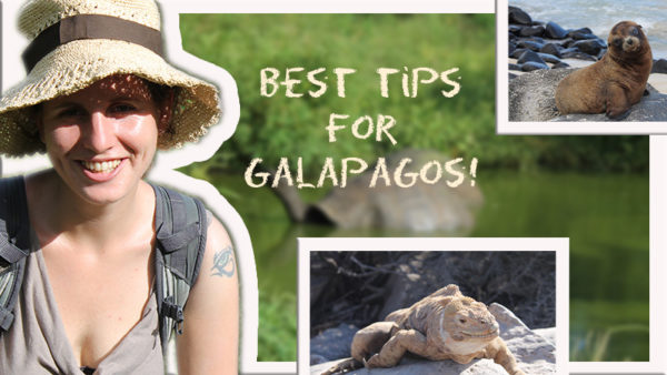 travel tips for the Galapagos Islands