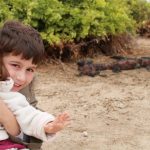 The Galapagos Islands are ideal for traveling with kids.