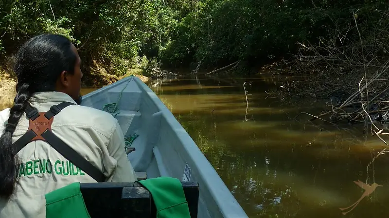 Guide o a boat in the ecuadorean rainforest