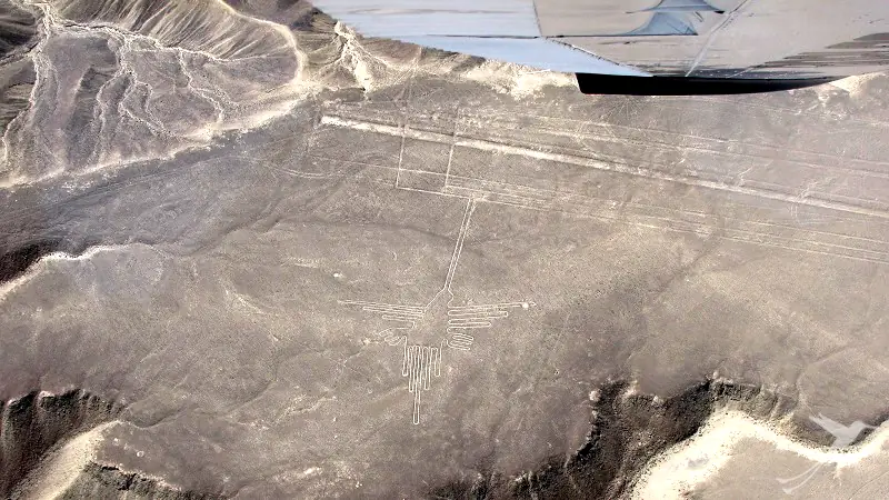 hummingbird figure in the Nazca lines