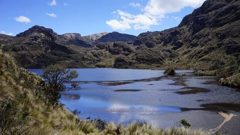 lake in the Cajas nationalpark near Cuenca