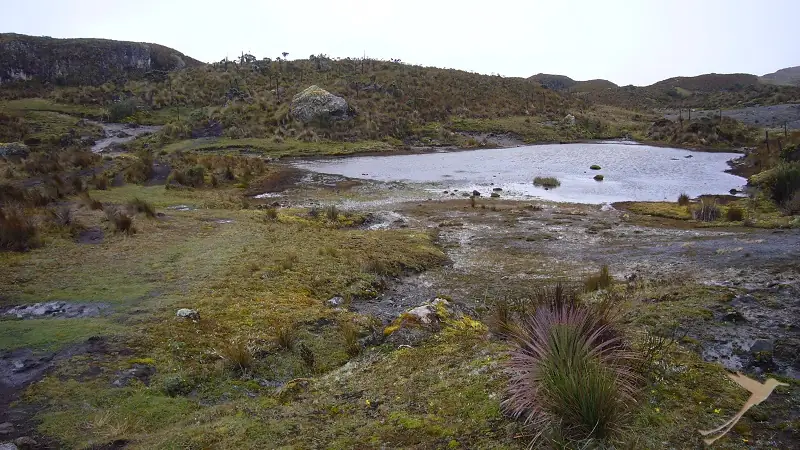 lake and paramo landscape in the Cajas national park