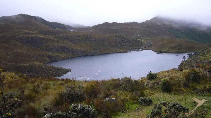 cajas national park lake