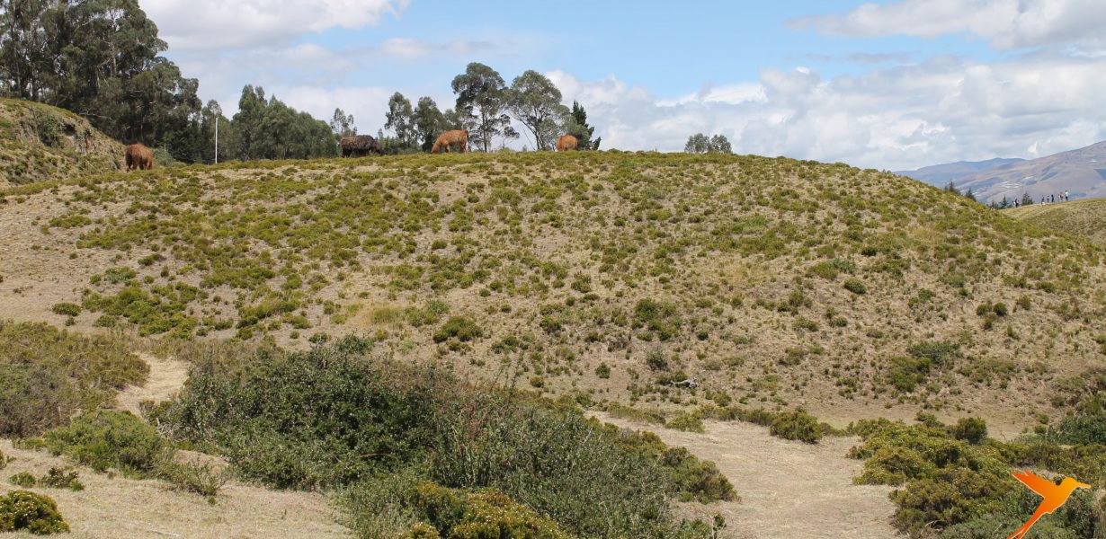 landscape-cochasqui