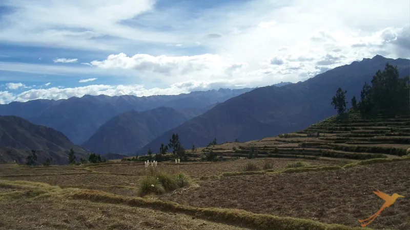 landscape at the Colca Canyon