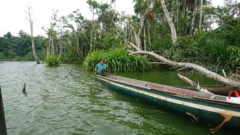 piranha fishing at the Limoncocha Lagoon
