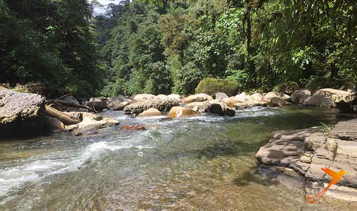 Rio Anzu near Puyo