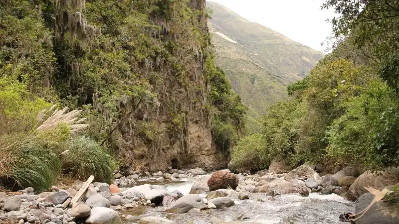 river in the Choco region in the north of Ecuador