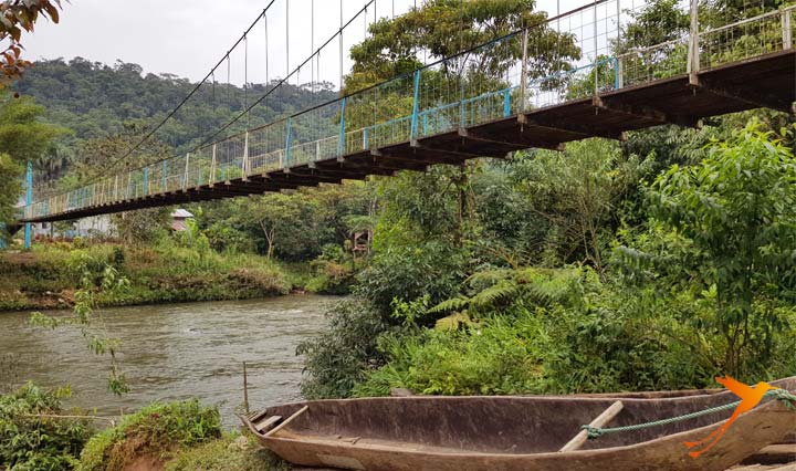 Take a canoe ride on river Puyo, through the rainforest