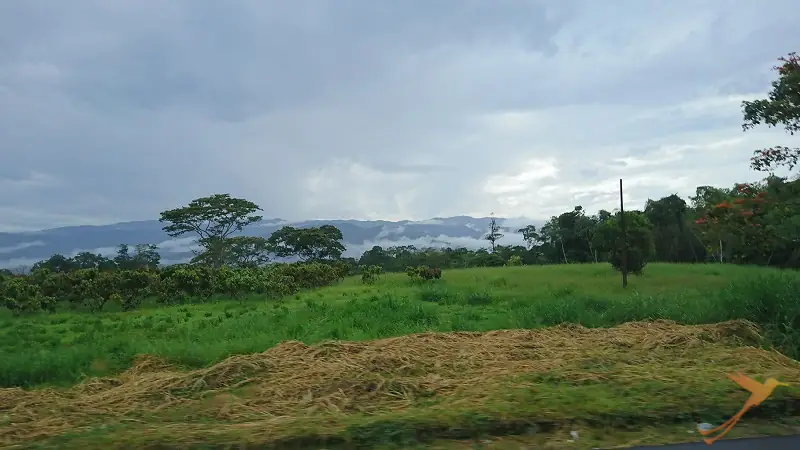 landscape along the road to Sucua