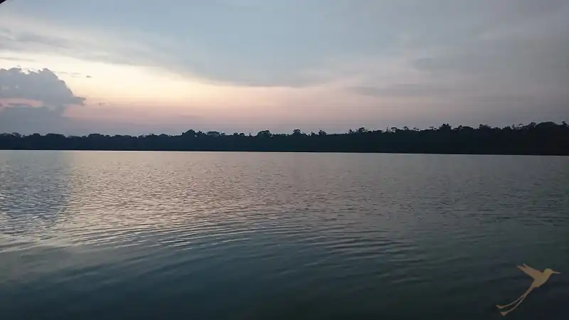 sunset over the Limoncocha Lagoon