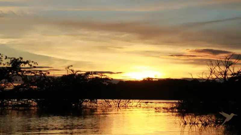 sunset over the laguna grande in the Cuyabeno reserve
